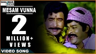 Sneham Kosam Movie  Mesam Vunna Video Song  ChiranjeeviMeena [upl. by Cristal753]