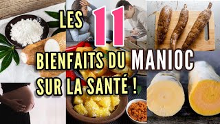 Les 11 bienfaits du manioc pour la santé [upl. by Anitroc241]