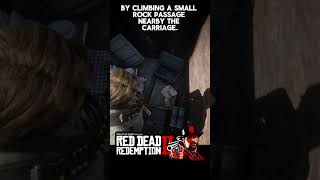 Uncovering The Gold Bar Treasure 3 Gold bar   Red Dead Redemption 2 rdr2 rdr2gameplay [upl. by Secnarfyram438]