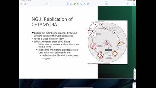 Chlamydia Trachomatis [upl. by Dorren]