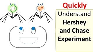 Hershey and Chase experiment [upl. by Kolb]