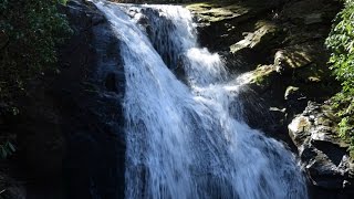 HIGH SHOALS FALLS TRAIL  GEORGIA [upl. by Yrakcaz]