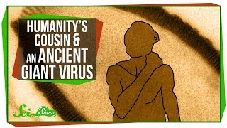 Humanitys New Cousin amp An Ancient Giant Virus [upl. by Ahsennod460]