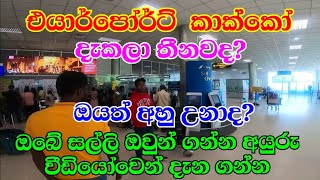 Things to know about Airport process in Katunayake arrival amp departure l Airport Porter Service [upl. by Ellekram900]