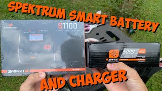 Spektrum Smart Charger and Battery Unboxing Spektrum S1100 ChargerSpektrum 6s 5000mah 100c Battery [upl. by Eladroc827]