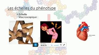 1S cours chapitre 3 genetique Début [upl. by Ainit]