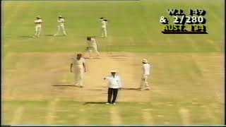 Gordon Greenidge 226 vs Australia Barbados 1991 [upl. by Noletta179]