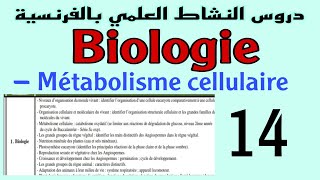 Métabolisme cellulaire catabolisme oxydatif [upl. by Sheridan817]