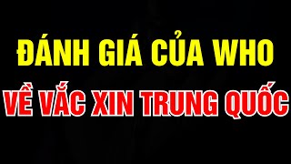 🛑 TIN TỨC COVID19 MỚI NHẤT Tin Tức Nóng Dịch Corona [upl. by Aicylla]