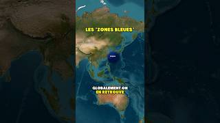 Les « zones bleues » en géographie 🌍 [upl. by Ailimac851]