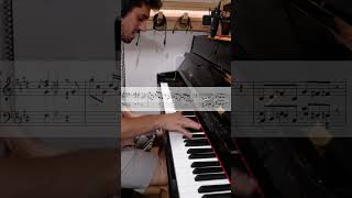 That One Brain Cell During Exams piano transcription anomalie [upl. by Nerret]