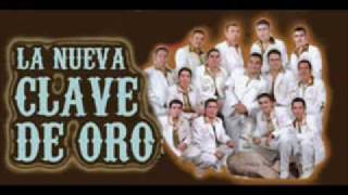 La perra  Banda Nueva clave de oro [upl. by Ahtram]