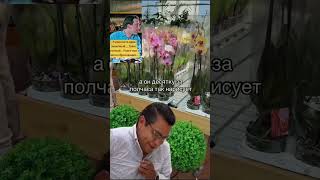 Не за что купить орхидеицветут orchidcare цветы орхидеи plants orchidarium пересадкаорхидеи [upl. by Noxaj]