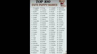 100 dog names you should name your 🐶 [upl. by Acisseg]