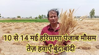 10 से 14 मई हरियाणा पंजाब मौसम तेज़ हवाएँ बुंदाबांदी weathernews [upl. by Chellman]