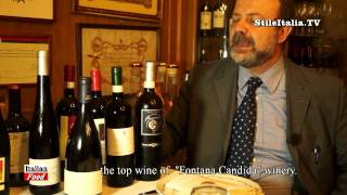 quotItalian Foodquot  Cucina romana i vini da abbinare  quotChecchino dal 1887 quot quotItalian Restaurantquot [upl. by Drud]