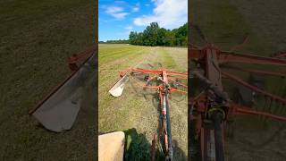 Raking windrows with Kuhn Rotary Rake [upl. by Ann]