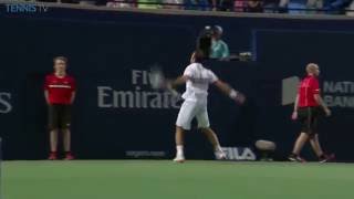 Amazing point amp wild celebration from Stepanek v Djokovic at 2016 Rogers Cup [upl. by Isman146]