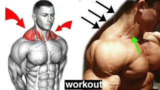 How to Build Your Trapezius workout [upl. by Einaj]