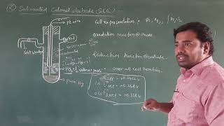 construction and working of Calomel electrode advantages and disadvantages of calomel electrode [upl. by Harewood364]