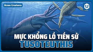 TUSOTEUTHIS – BÍ ẨN TRĂM TRIỆU NĂM VỀ LOÀI MỰC KHỔNG LỒ TIỀN SỬ [upl. by Olraced]