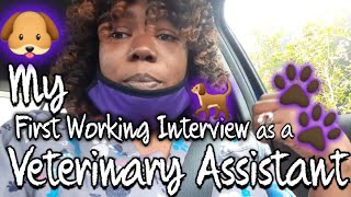 Veterinary Assistant Working Interview Vlog🐾💜 [upl. by Ettedranreb233]