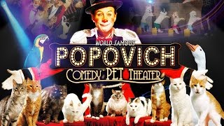 Las Vegas family show  Gregory Popovich Comedy Pet Theater [upl. by Sonia]