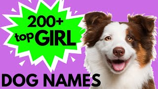 Top 200 Unique FEMALE Dog Names – Girl Dog Names [upl. by Nylrehc]