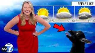 Best News Bloopers July 2023 [upl. by Whittaker]