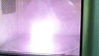 Electrodeless UV mercuryquartz lamp in the microwave oven [upl. by Anura]