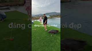 Bất ngờ chưa bà già cauca fishing short [upl. by Nangem688]