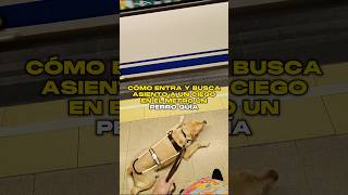 Cómo entra y busca asiento a un Ciego en el metro un Perro Guía 🚇 🦮 [upl. by Kriss]