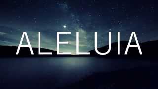 Decean  Aleluia Lyrics Video [upl. by Yrad]