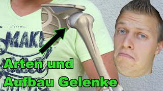 Die Arten und der Aufbau der Gelenke  Prüfungsstoff für Fitnesstrainer BLizenz [upl. by Bank352]