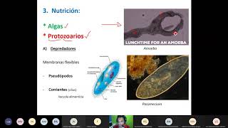 Tutoría Capítulos 21 22 y 23 [upl. by Litt36]