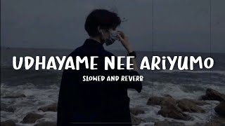 udhayame nee ariyumo  slowed and reverb lyrics [upl. by Malliw]