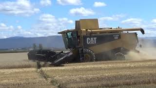 Cliston Wheat Harvest 2024 Part 1 [upl. by Arta606]