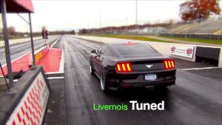 2015 Mustang EcoBoost Tuned [upl. by Den]