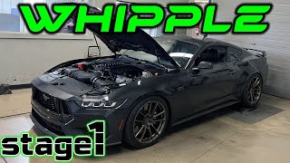 2024 Mustang GT Whipple Supercharger Stage 1 Automatic Dyno two pulleys amp KOOKS HEADERS [upl. by Gifford]