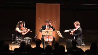 JSBach BWV 988  Goldberg Variations for String Trio [upl. by Malvino]