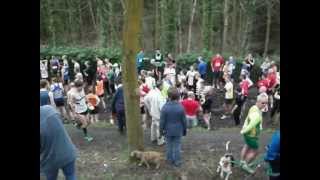 Guiseley Gallop 2012wmv [upl. by Lamoureux]