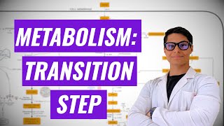 Transition Step to Create AcetylCoA Ninja Nerd synthesis [upl. by Aicats]