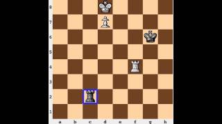 Chess Endgame Lucena Position [upl. by Krysta]