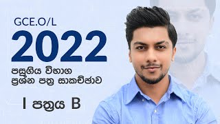 GCE OL 2022 Maths Past Paper Discussion By Sinhala  1 Paper B [upl. by Erodisi382]