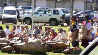 Matautu  Katoaga  Den Teritoria  Territory Day  Wallis [upl. by Kimberley420]