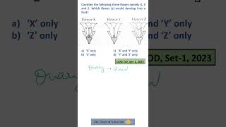 Fertilisation In Flowering plants biology fertilisation floweringplants cbseboard reproduction [upl. by Eedissac]