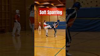 Soft Sparring shorts taekwondo [upl. by Stander]