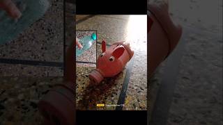 Bottle piggy bank 🏦piggybank kids moneybank savingmoney trending ytshorts viralvideo [upl. by Dena407]