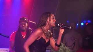 ALAINE live in Vienna 20140922 [upl. by Renfred427]