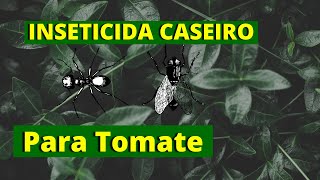 Inseticida CASEIRO para TOMATE  Veja COMO FAZER [upl. by Grose]